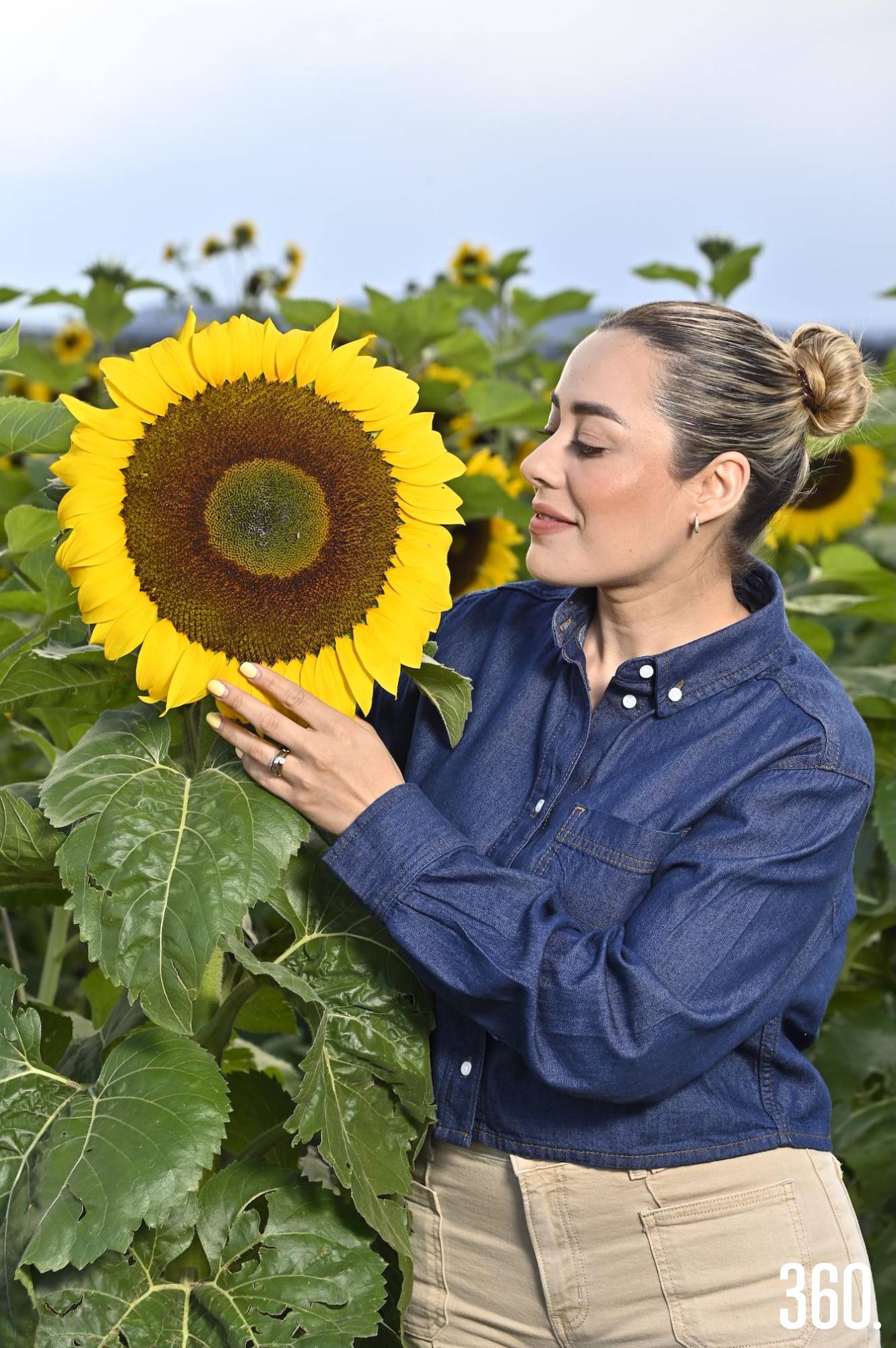 Desde niña entre manzanos, hoy María Fernanda impulsa un proyecto que florece con historia, girasoles y amor por la tierra. $!Desde niña entre manzanos, hoy María Fernanda impulsa un proyecto que florece con historia, girasoles y amor por la tierra.