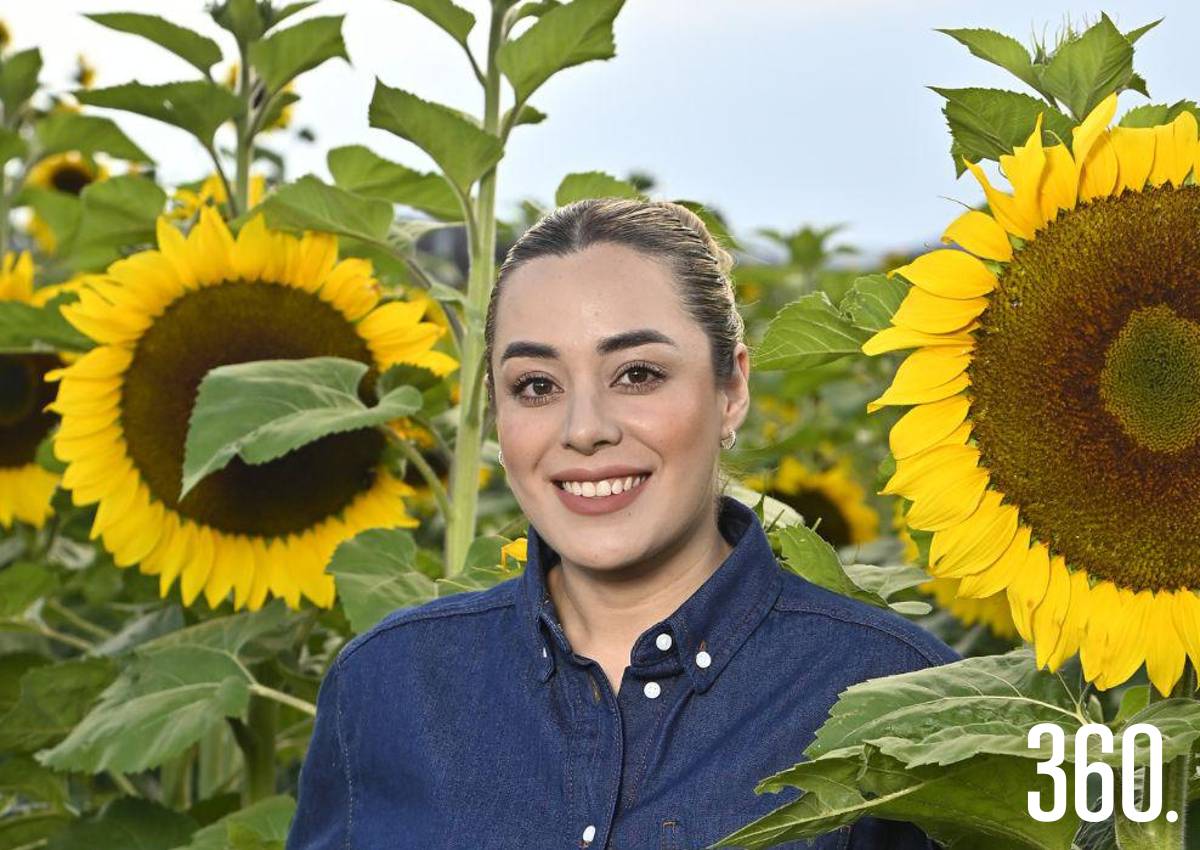 HUERTO DE GIRASOLES: DONDE FLORECEN LOS SUEÑOS HUERTO DE GIRASOLES: DONDE FLORECEN LOS SUEÑOS