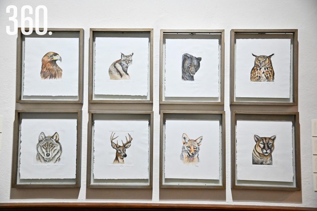 $!También incluye piezas de los animales que viven en la región semidesértica.