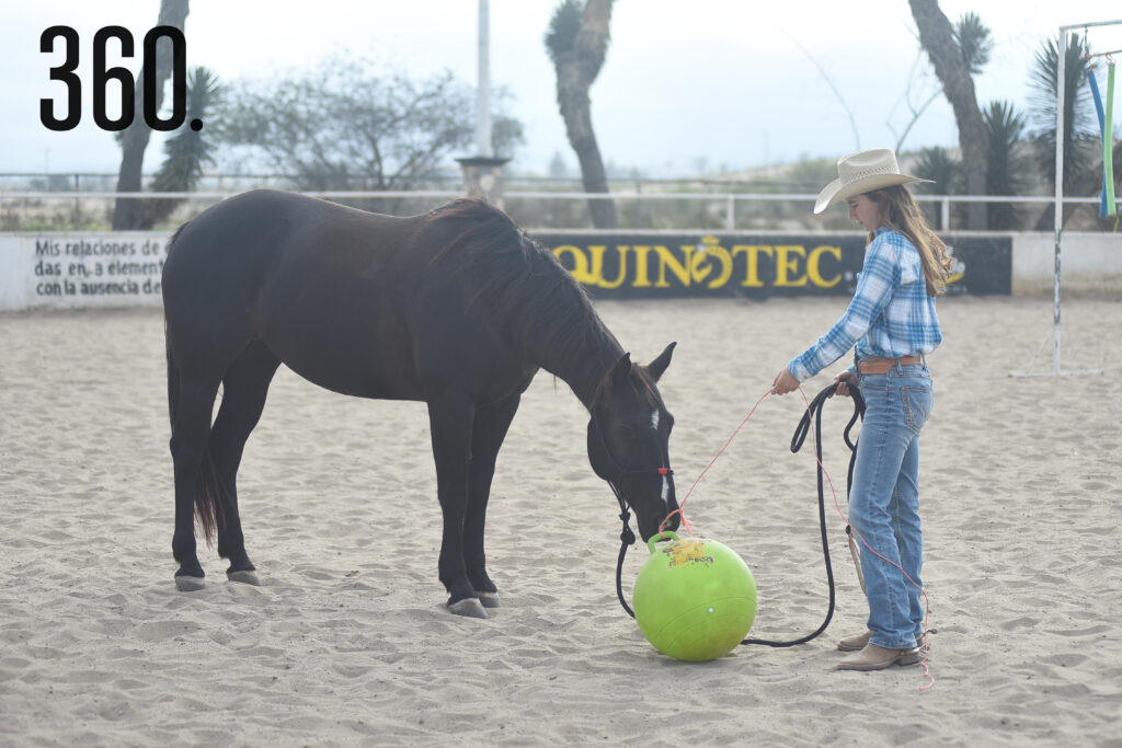 $!BRÍO NATURAL PRESENTA UNA SEMANA CON DAVID ALONSO