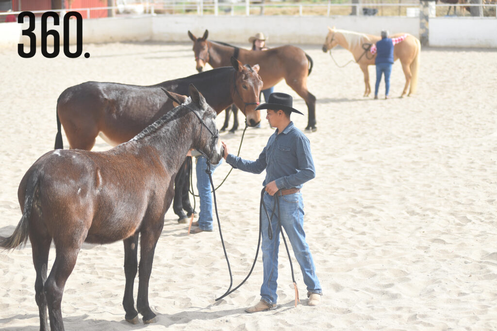 $!BRÍO NATURAL PRESENTA UNA SEMANA CON DAVID ALONSO