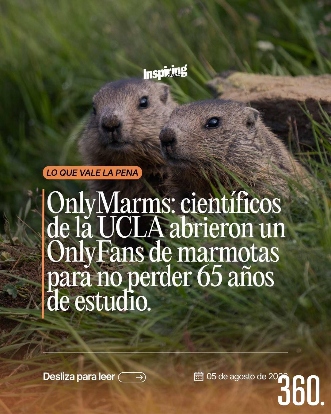 $!Abren Only Marms.