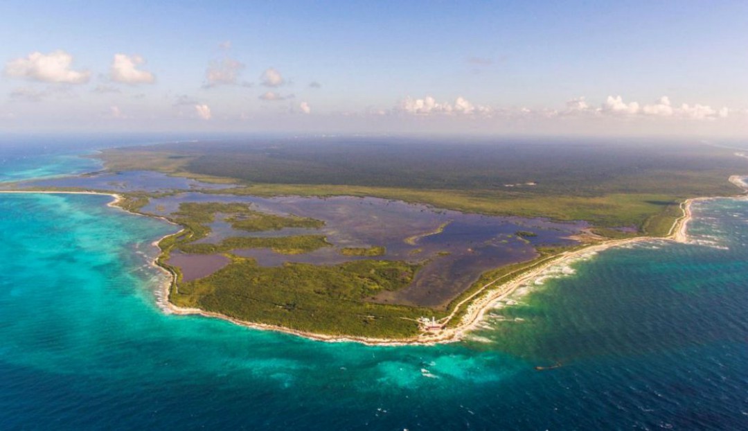 $!COZUMEL PODRÍA PERDER SUS ARRECIFES