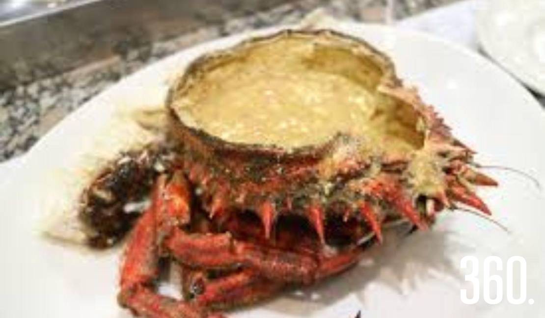 Entre páginas y antojos, la literatura también despierta el apetito.