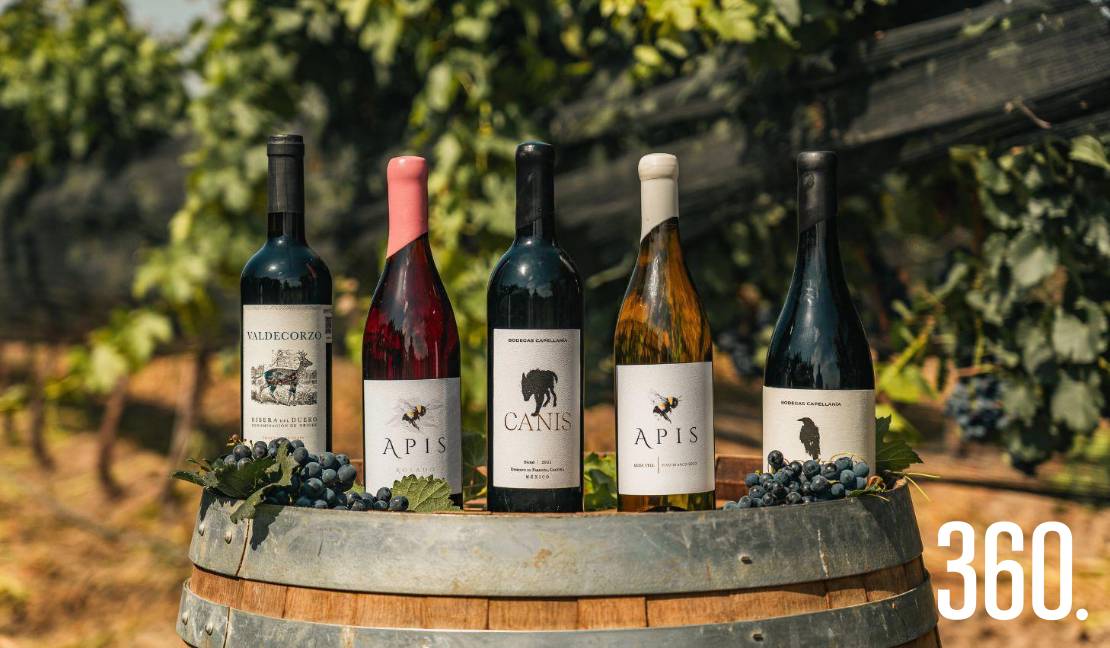 Apis, de Bodegas Capellanía: una expresión contemporánea que honra la tradición y el carácter profundo del vino.