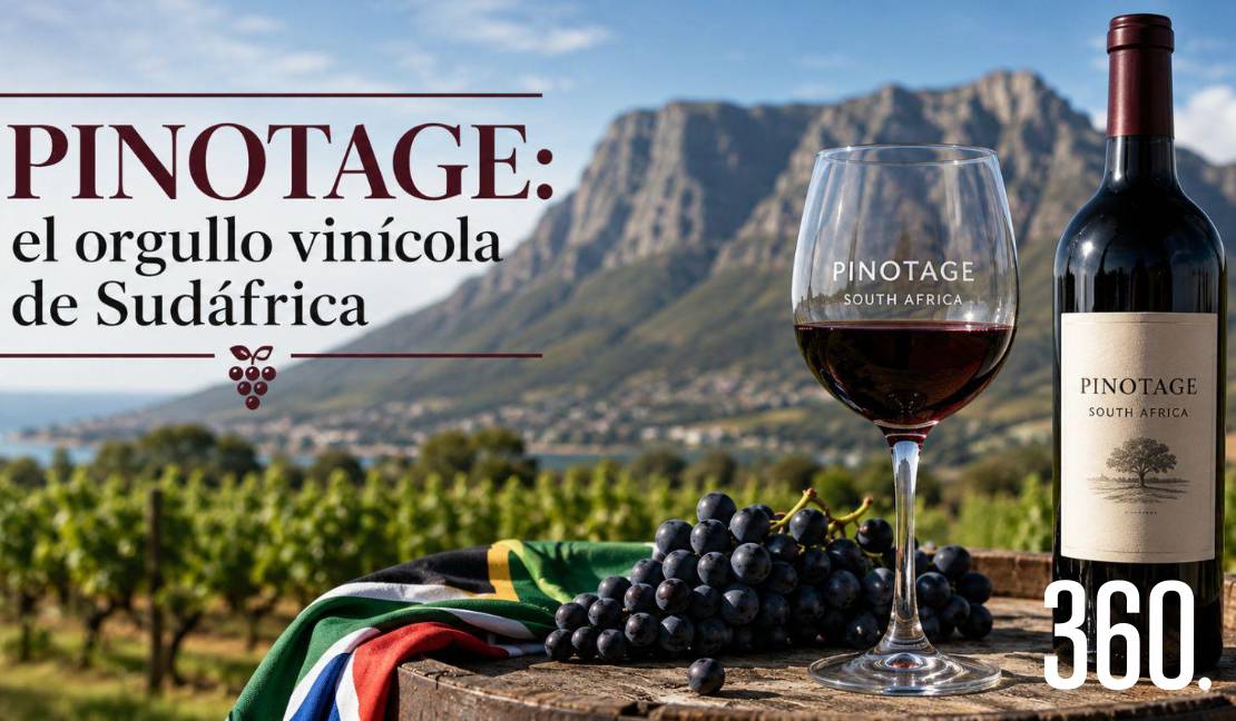 La pinotage, creada en Sudáfrica en 1925, es hoy una de las variedades que mejor representan la identidad vinícola de ese país.