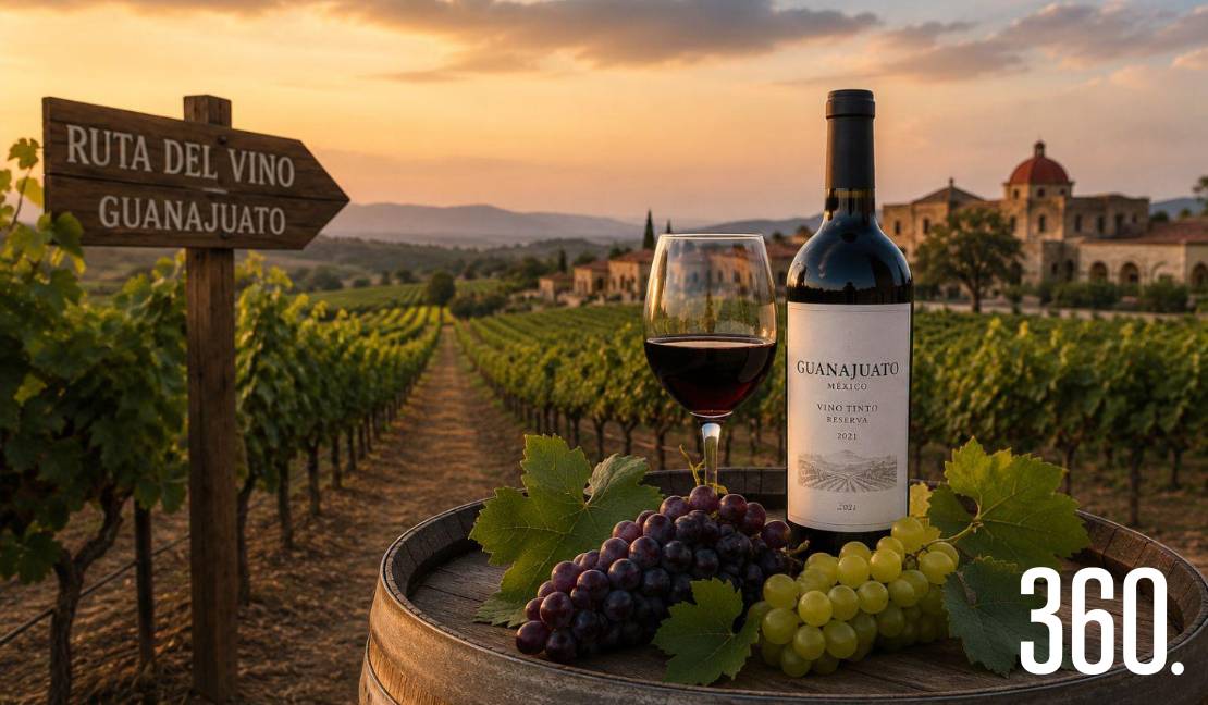 Viñedos de Guanajuato combinan paisajes, historia y una creciente oferta de vinos que hoy destacan a nivel nacional e internacional.