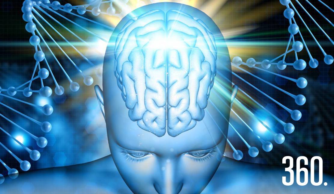 Cuidar la salud cerebral transforma nuestra energía, claridad y bienestar emocional.