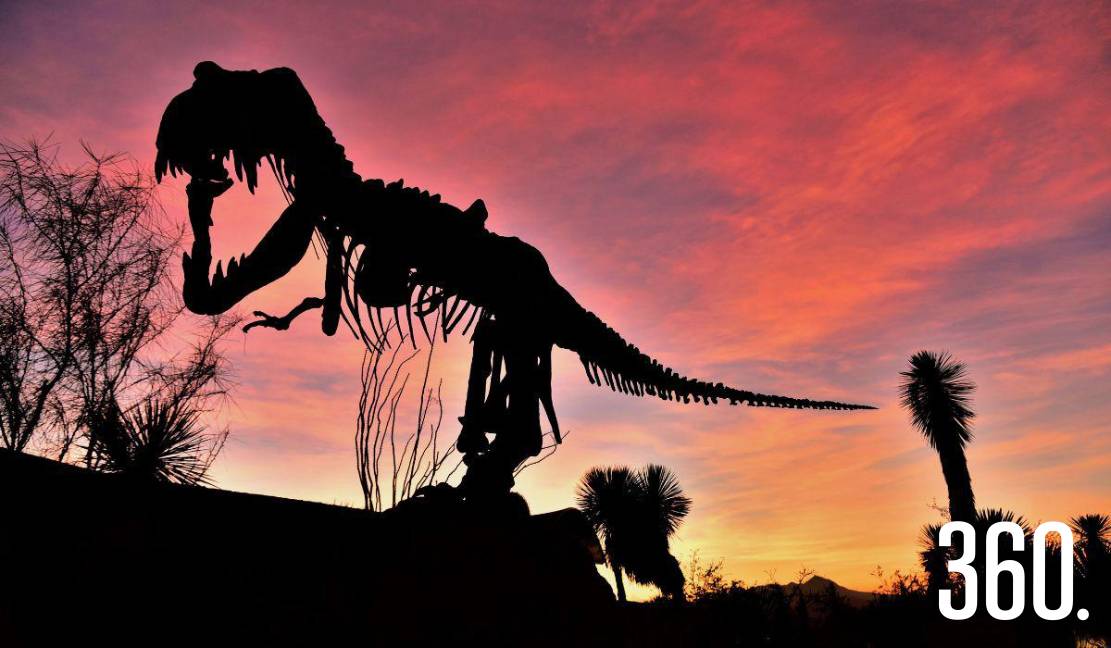 La silueta de un dinosaurio se recorta contra el cielo mientras el sol cae sobre Saltillo.