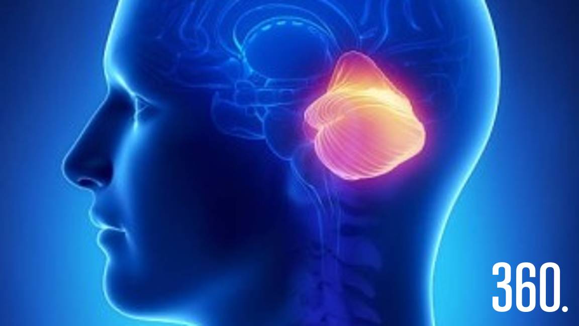 10 cosas interesantes de tu cerebro