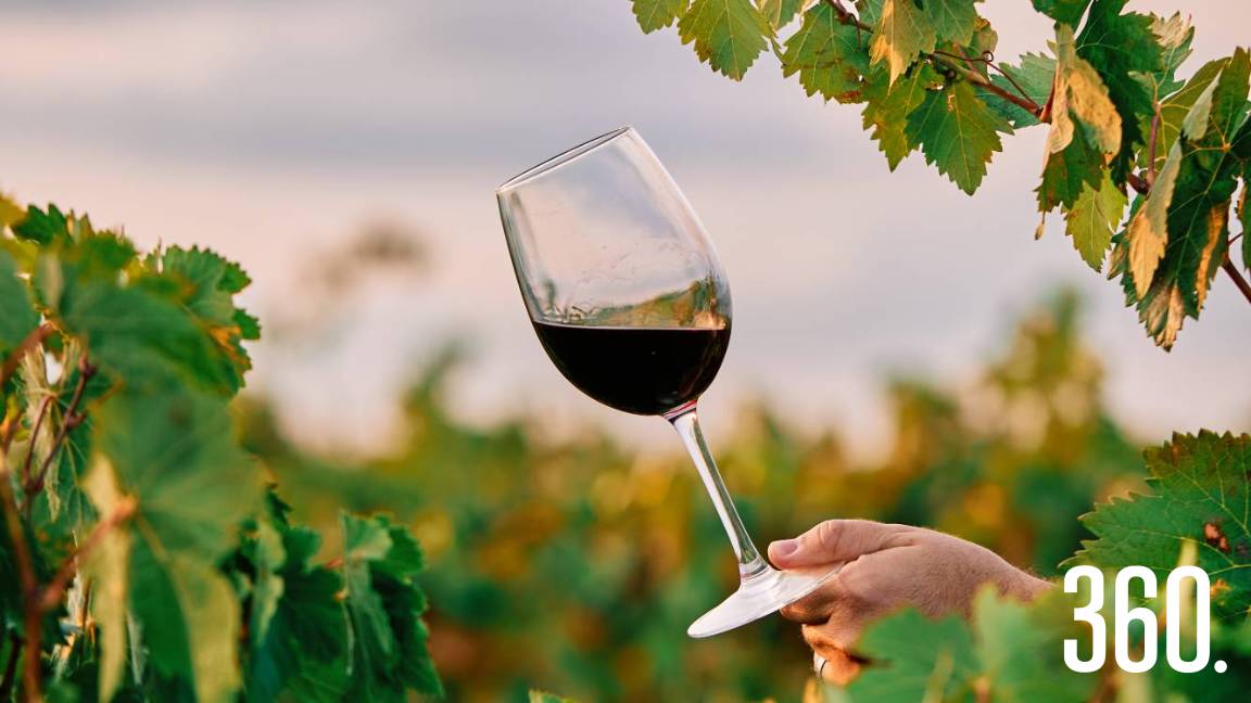 ¿GUSTA UN VINO TINTO? UN &quot;VEGA SICILIA&quot;, POR FAVOR
