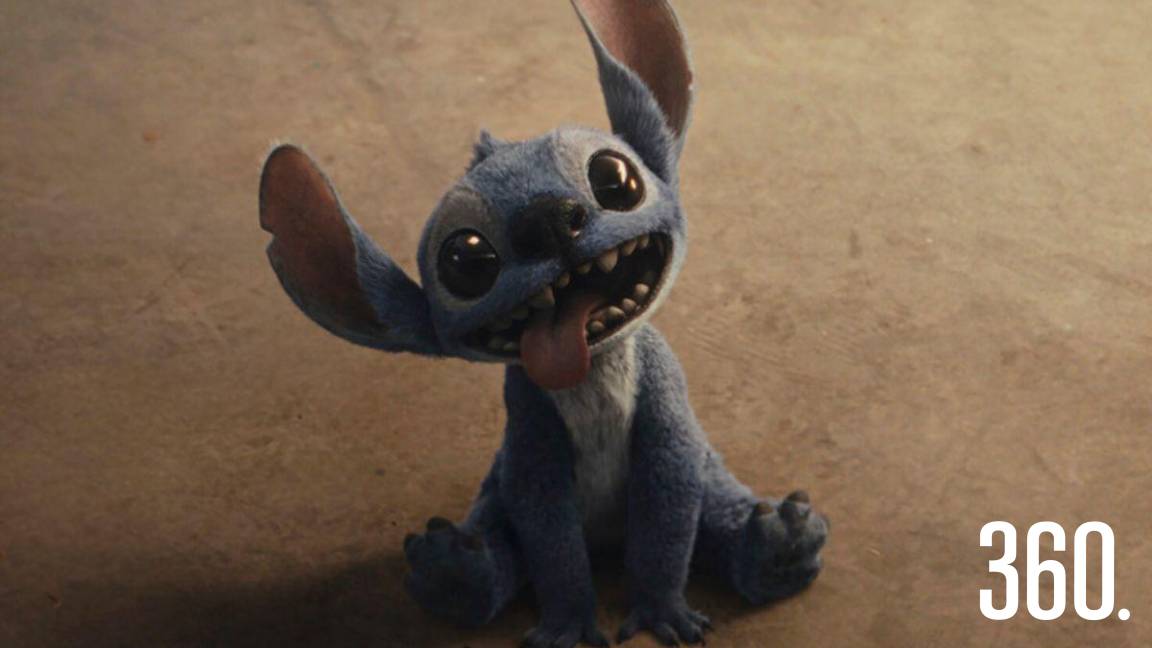 OHANA SIGNIFICA FAMILIA, Y TU FAMILIA NUNCA TE ABANDONA