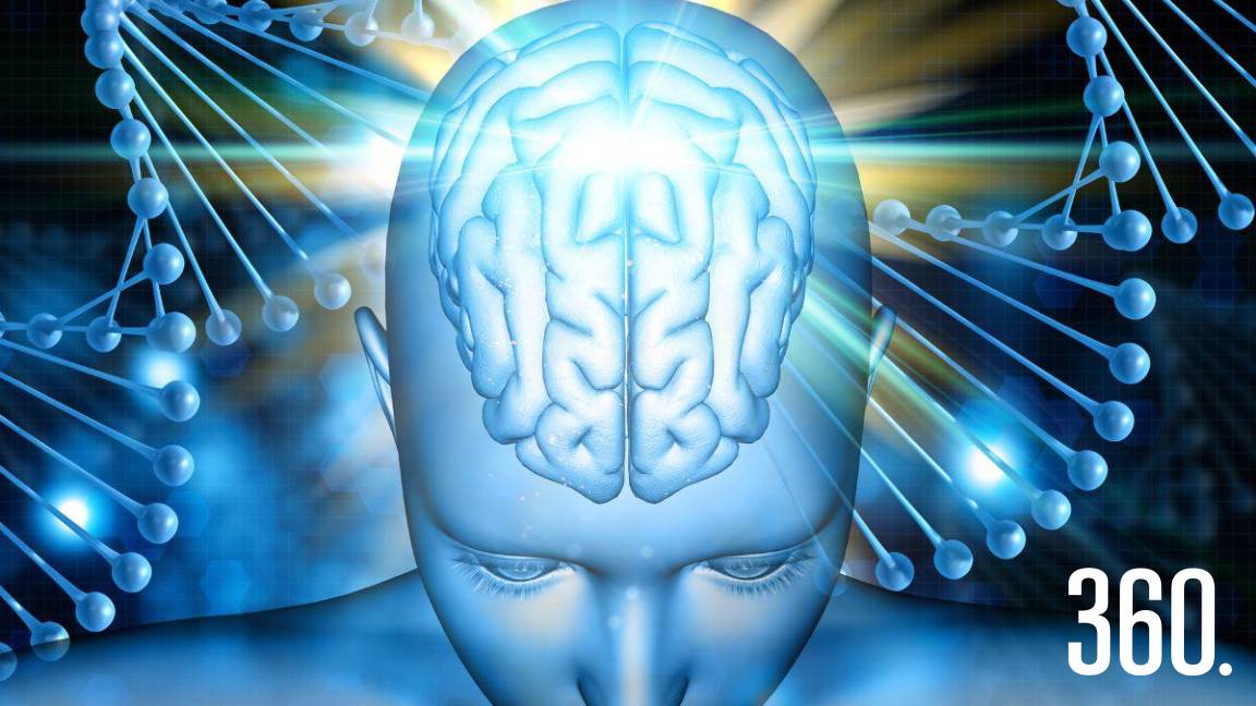 SALUD CEREBRAL VS SALUD MENTAL: UN NUEVO PARADIGMA