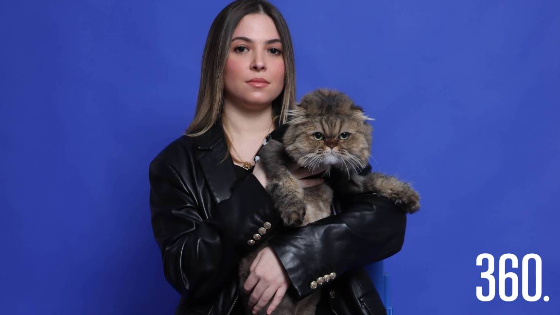 ¡FELIZ DÍA A TODOS LOS GATITOS!