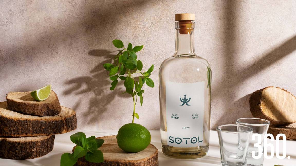 CAMPOBELLO Y EL SOTOL