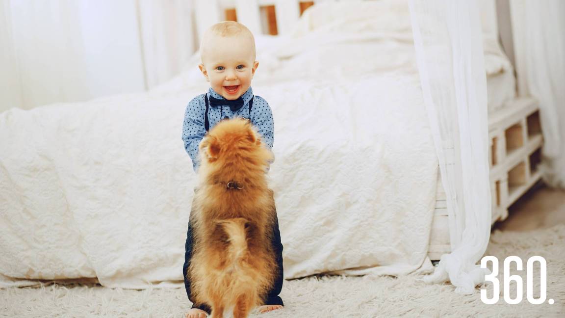 NUESTAS MASCOTAS Y NUESTROS HIJOS