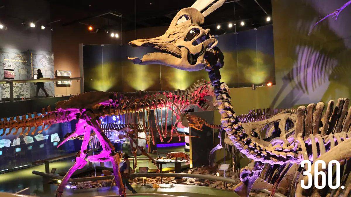 $!Museo del Desierto.