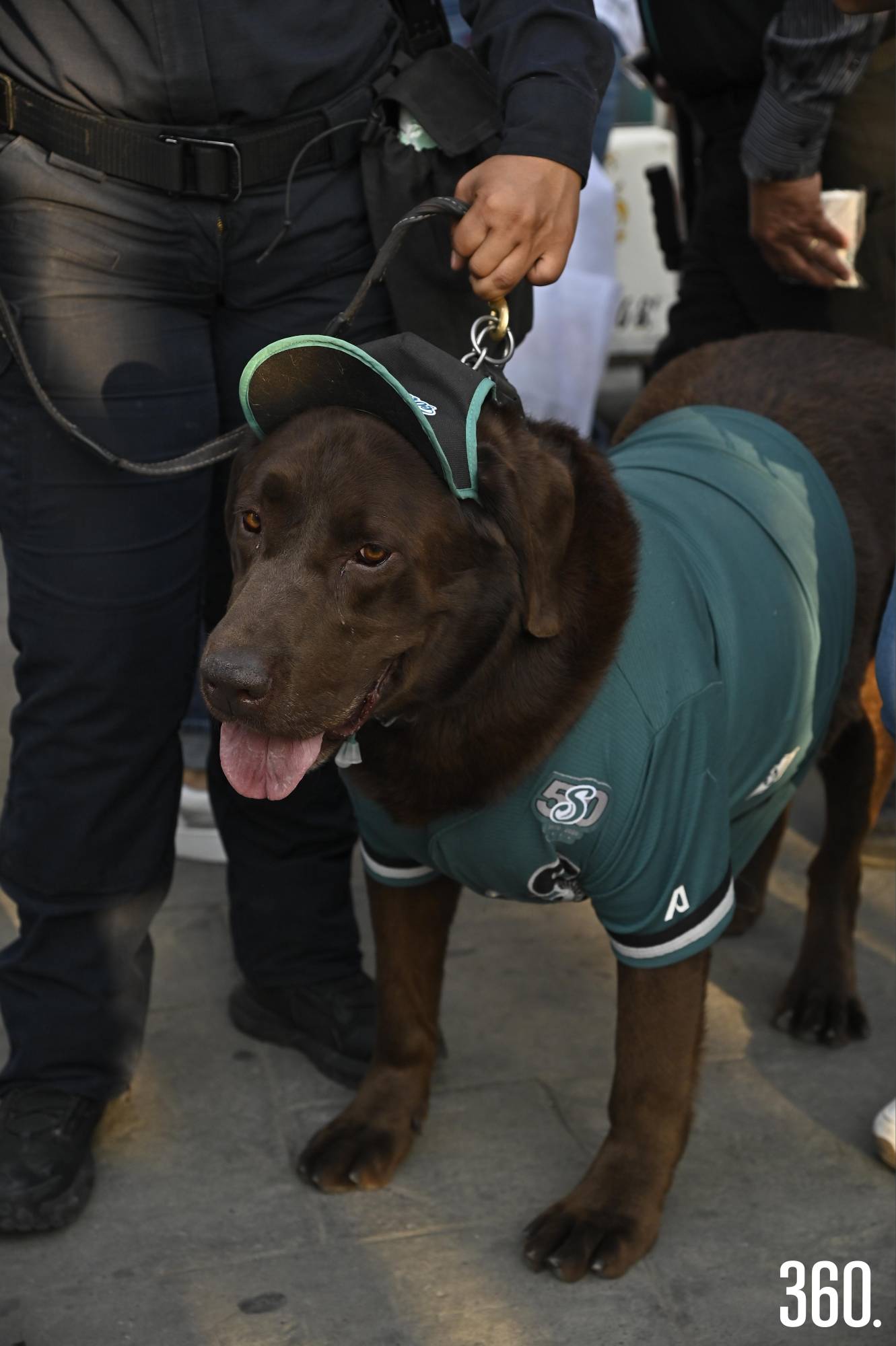 $!Las mascotas también mostraron su espíritu Sarapero.