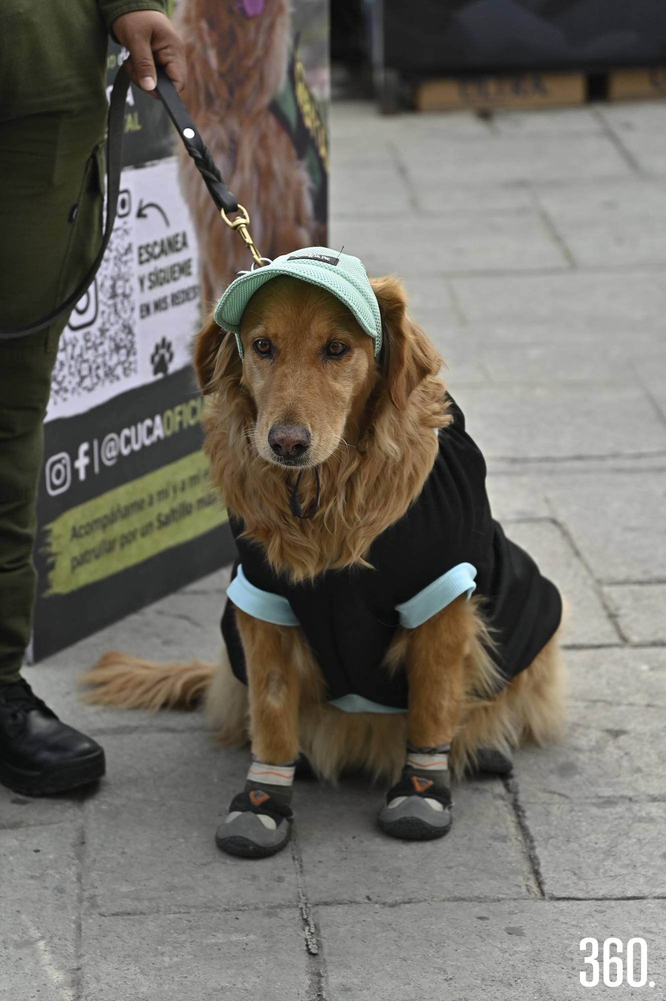 $!Oficial Canino Cuca.