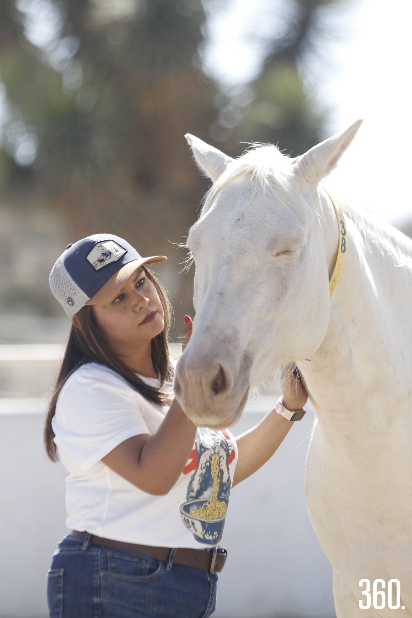 $!En un entorno abierto, Sandra trabaja con caballos como facilitadores del proceso terapéutico.