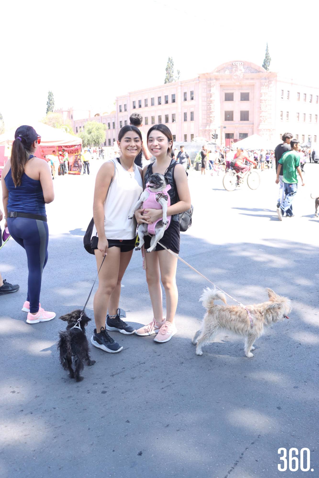 $!Alba y Gabriela Martínez, con sus perritos, Miley, Romina y Chía.
