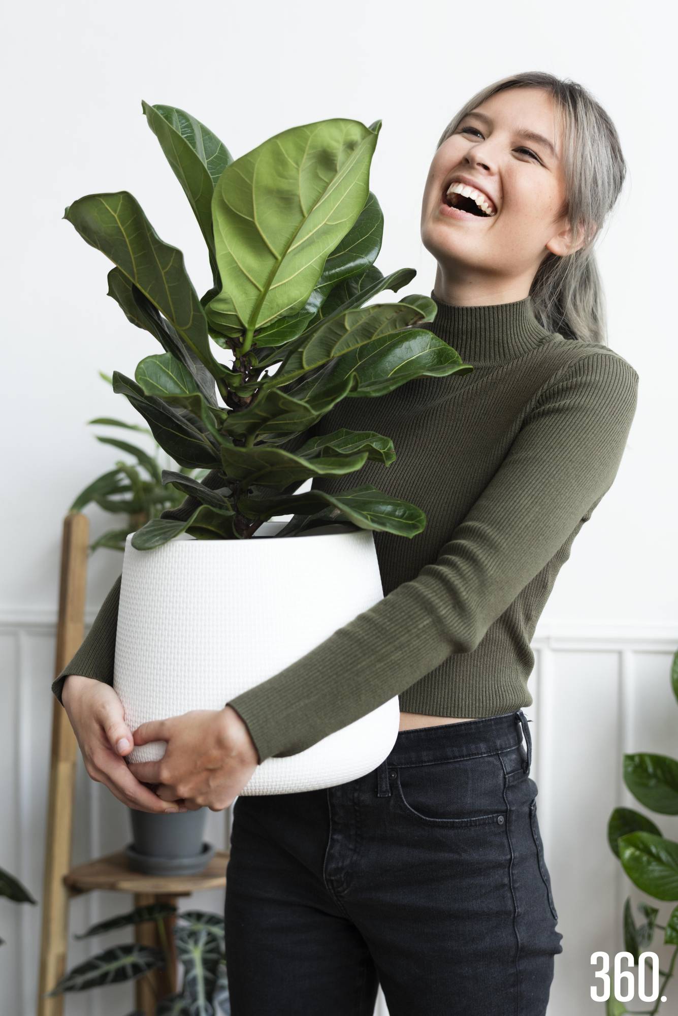 $!Llevar al interior de la casa las plantas sensibles al frío ayuda a protegerlas de las bajas temperaturas y prevenir daños en sus hojas.