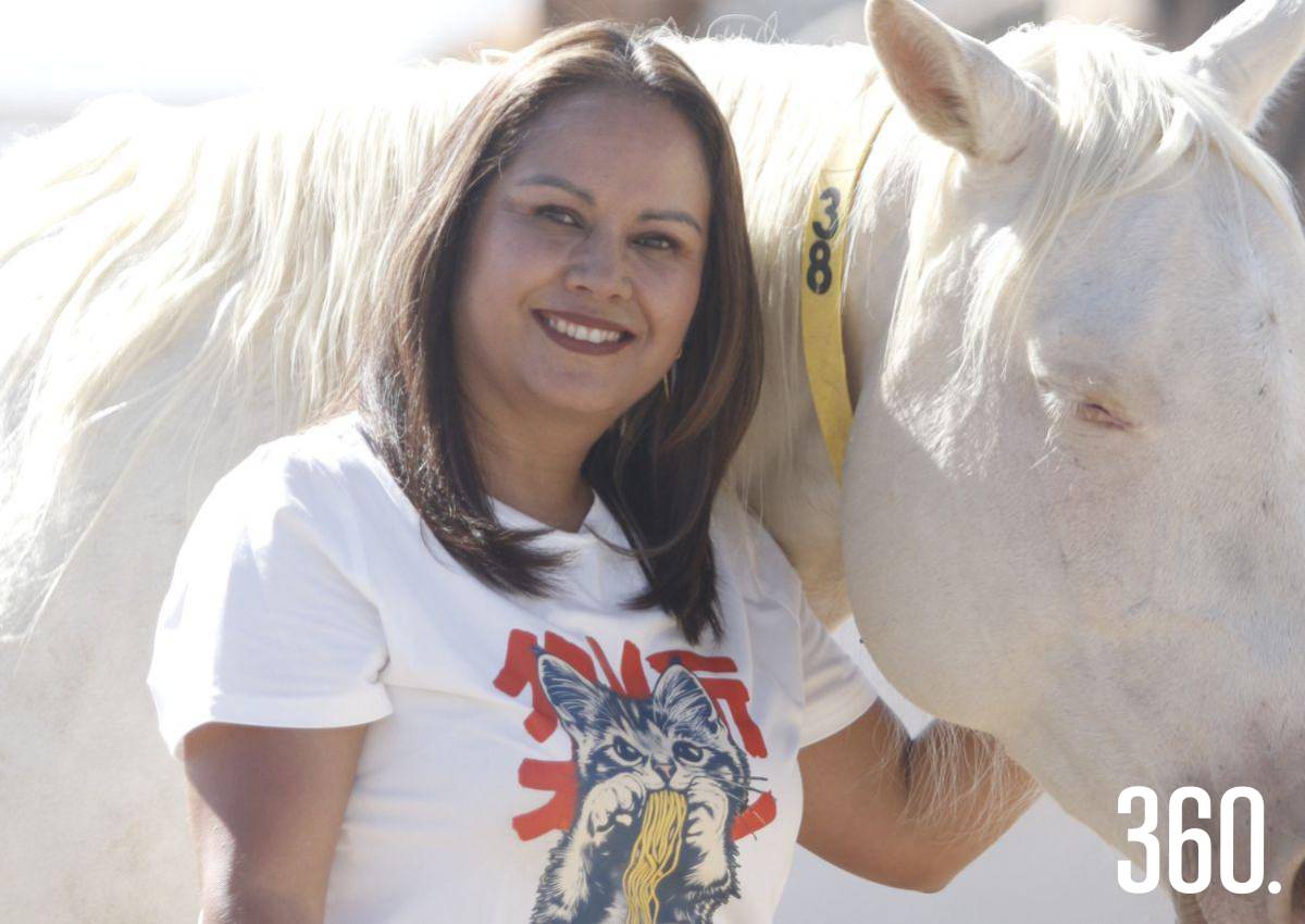 EXPLORA LA PSICOTERAPIA CON CABALLOS