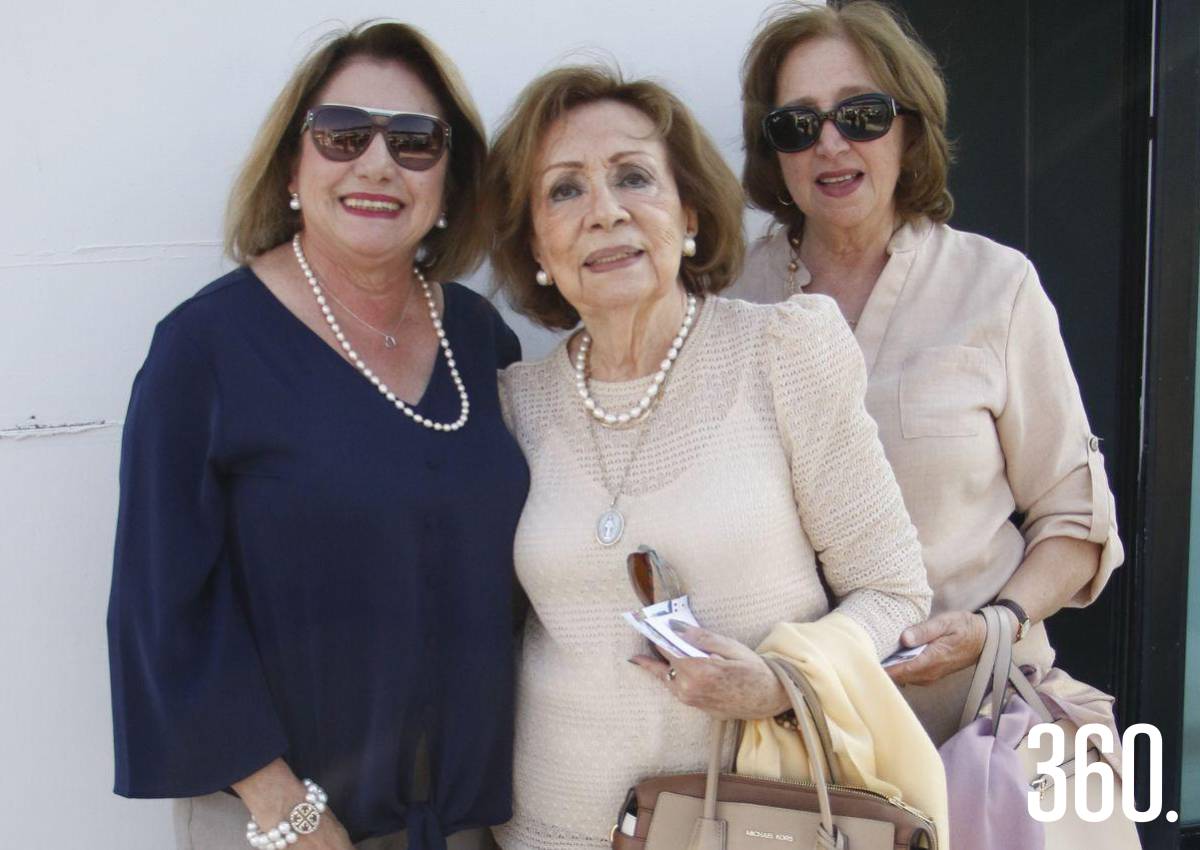 IMPULSAN PASARELA CON CAUSA