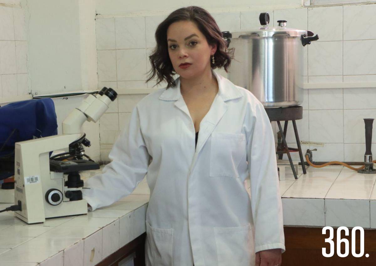 CULTIVANDO VIDA: EL PODER DE LAS BACTERIAS PGPR EN LA AGRICULTURA