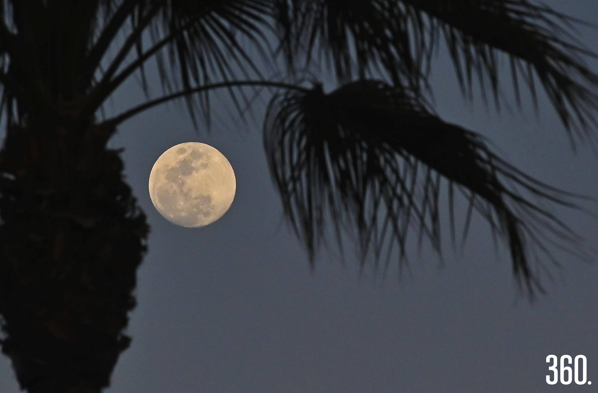 $!La luna se alza sobre Saltillo con un brillo que ilumina la noche.