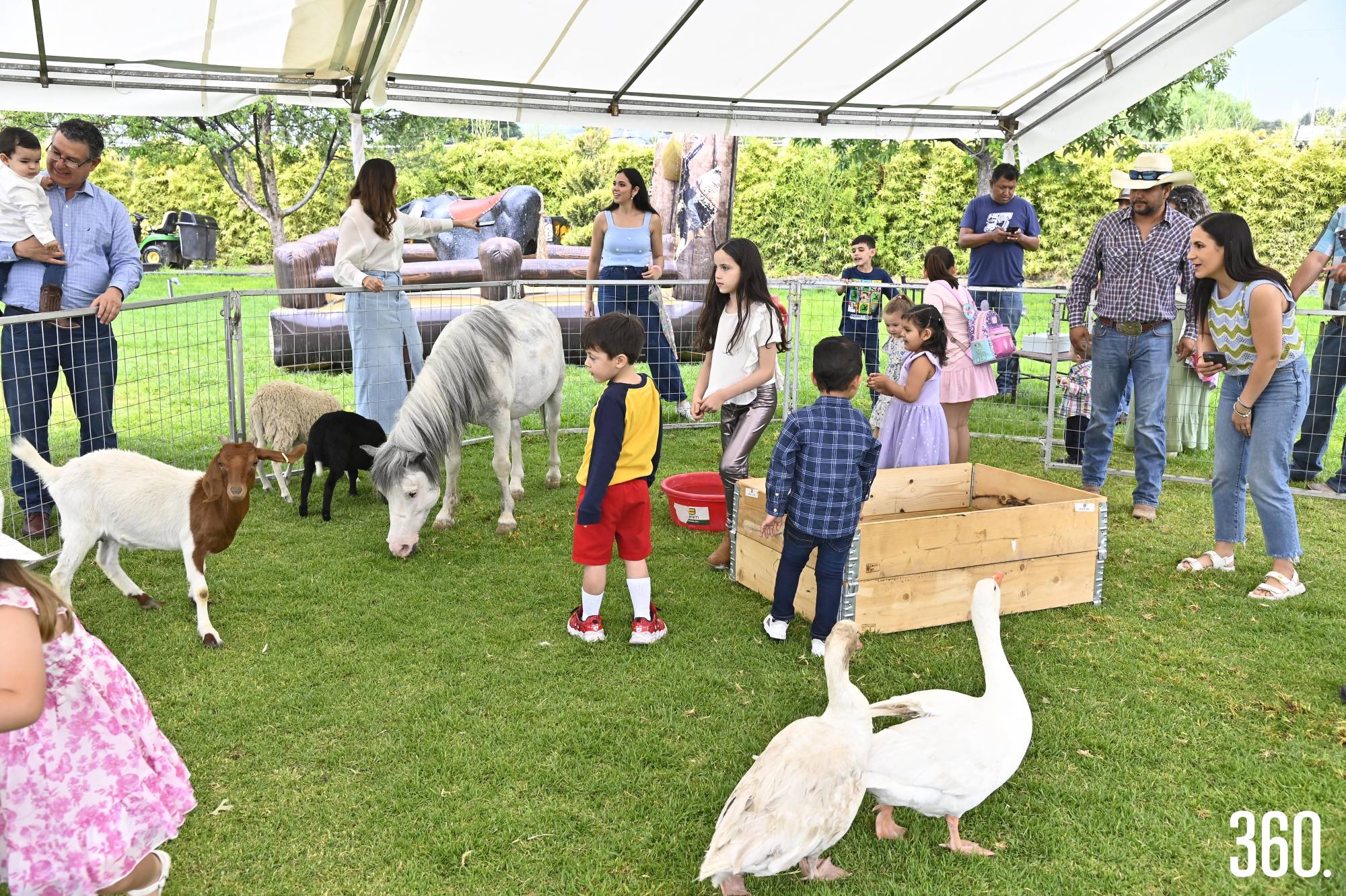 $!Los niños pudieron jugar con diferentes animales de granja.