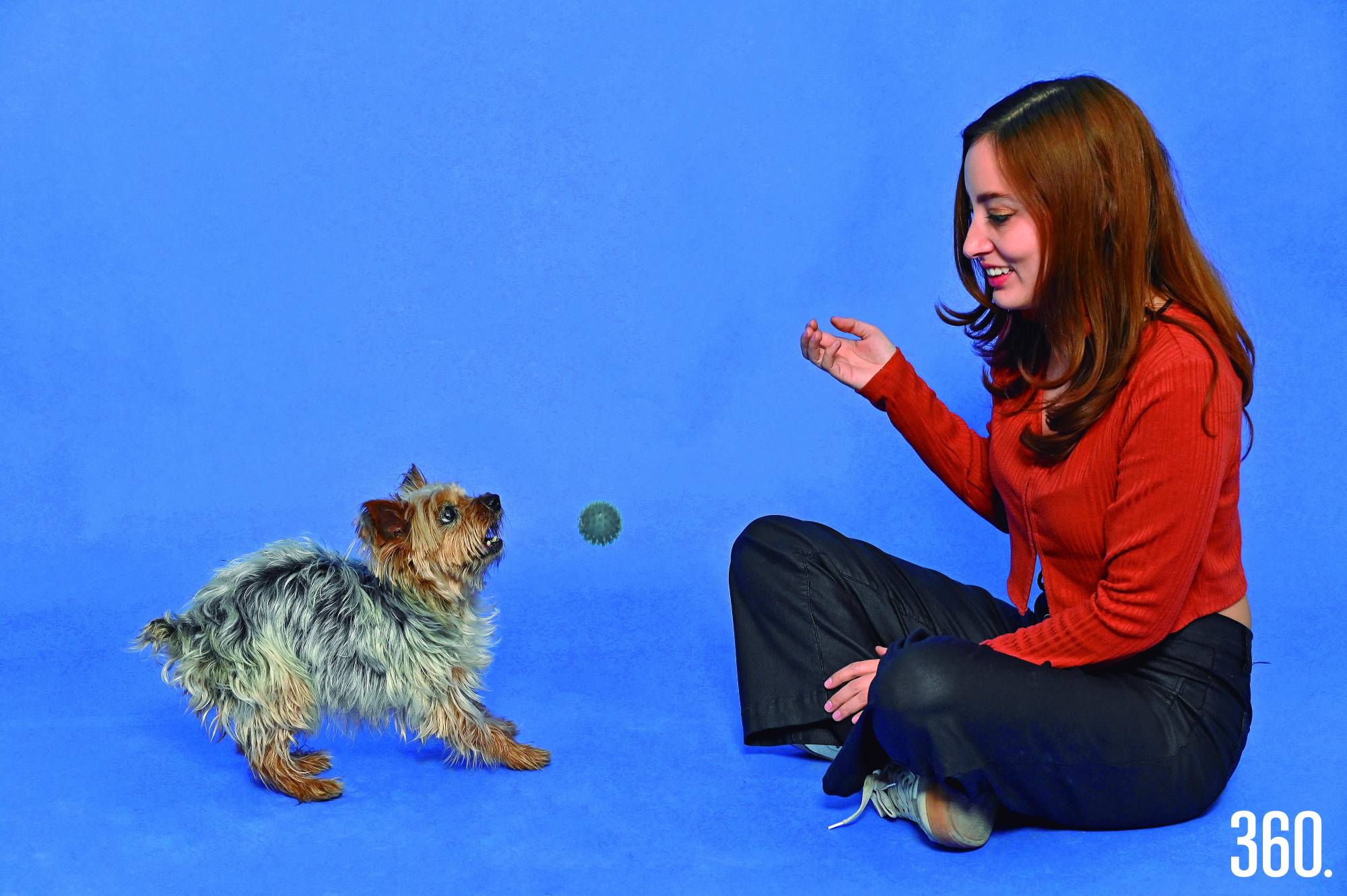 $!Dejar a una mascota en buenas manos puede marcar la diferencia.