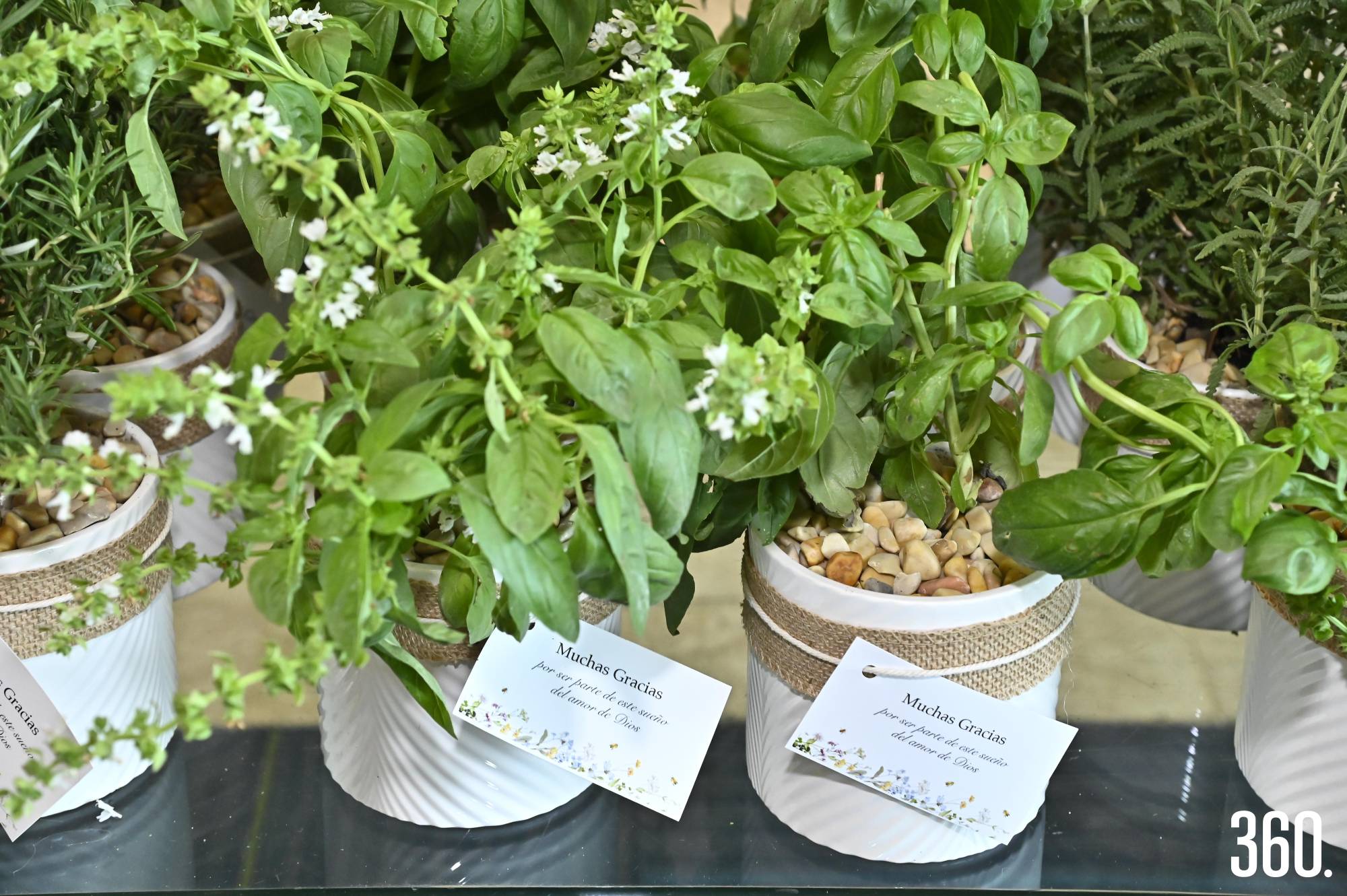 $!Entregaron una planta a las invitadas, como agradecimiento por su presencia.