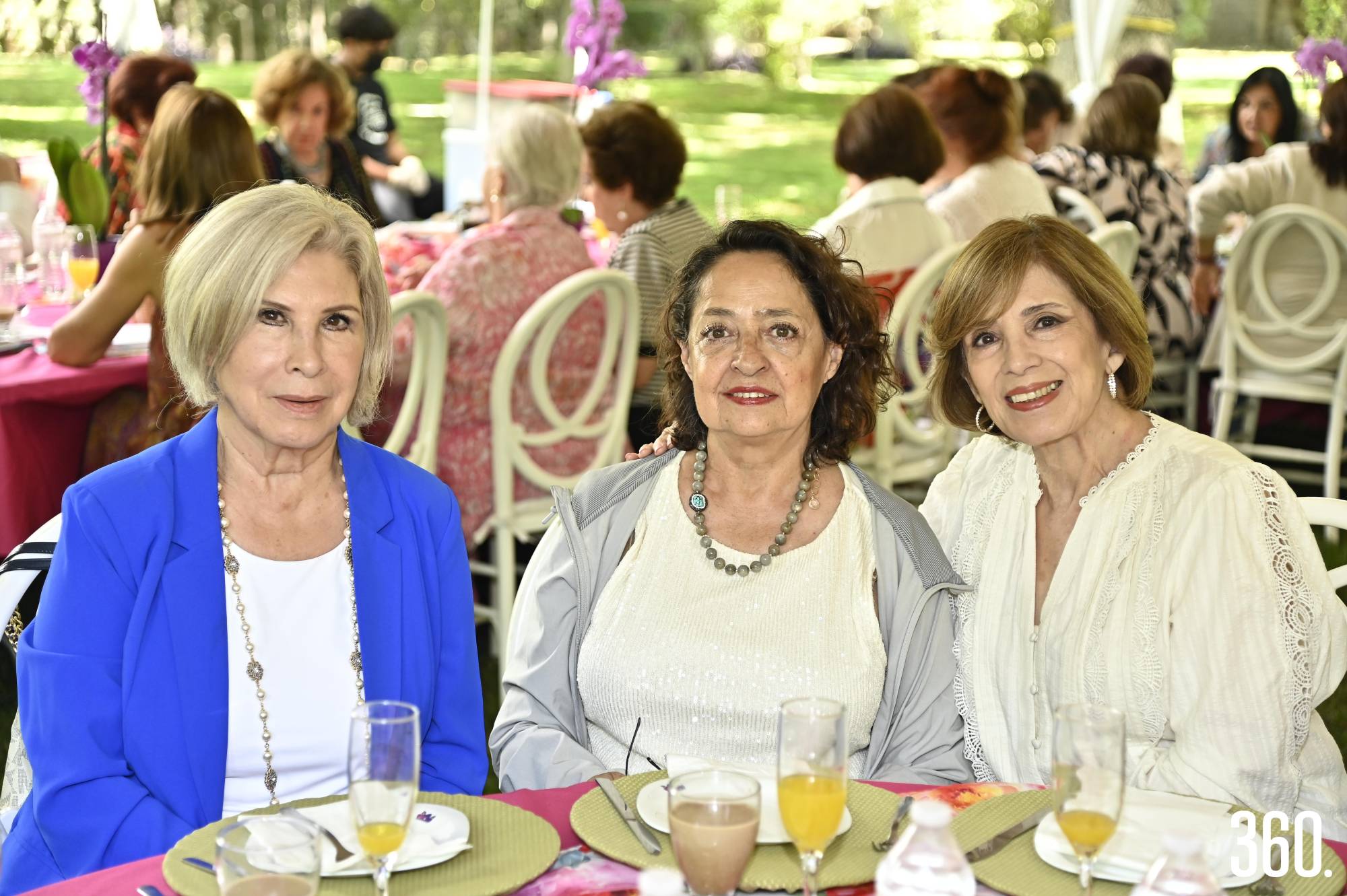 $!Rosy Almanza de Morales, Patricia Mariscal y Mene González.