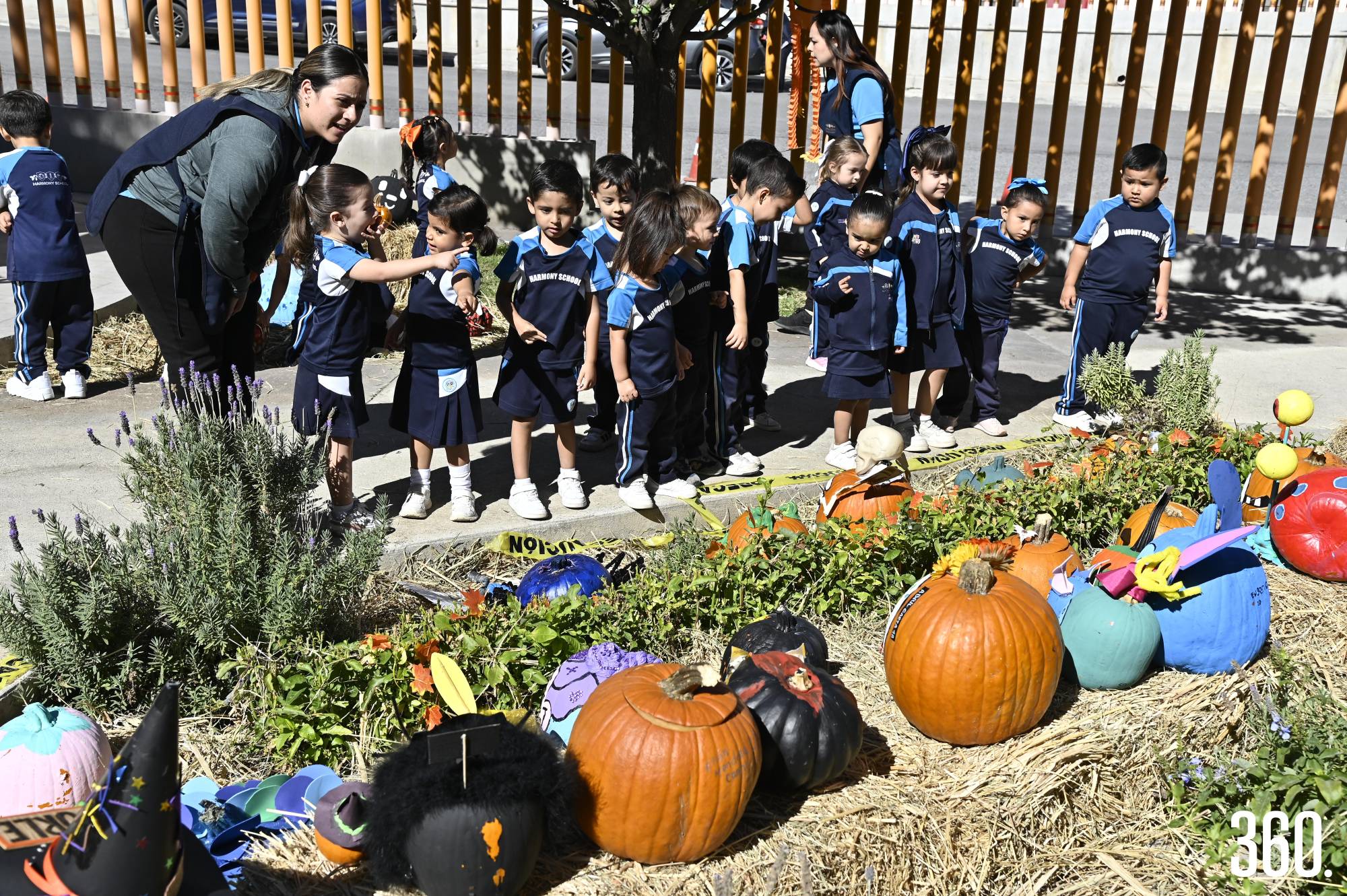 $!Además hubo muestra de calabazas decorados por los estudiantes.