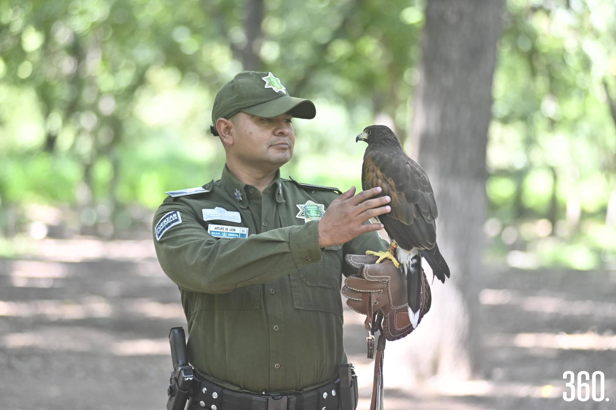 $!Pol. Arturo De León con la aguililla de Harrys, Jack.