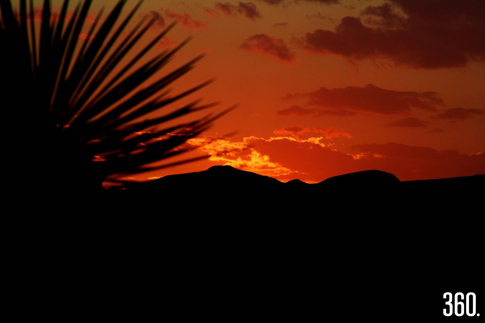 $!Luz dorada que transforma calles familiares en escenas llenas de calma y color.