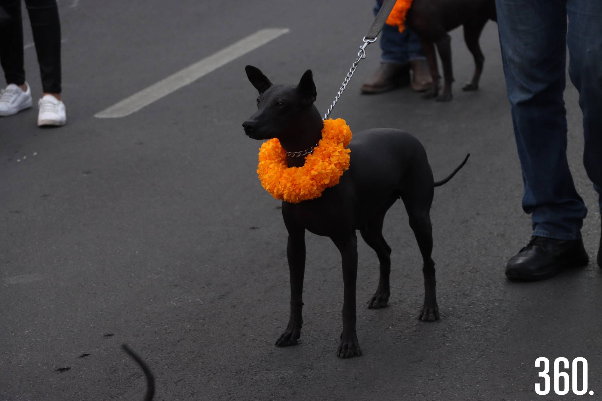 $!SALTILLO VIVE EL DESFILE 'XANTOLUM'