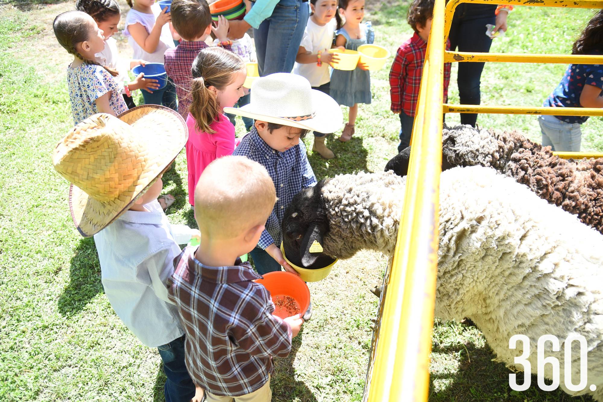 $!Se divirtieron con los animales de granja.