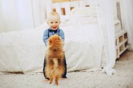 NUESTAS MASCOTAS Y NUESTROS HIJOS