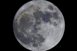 ¿Quieres ver la luna de flores? Aquí te damos todos los detalles