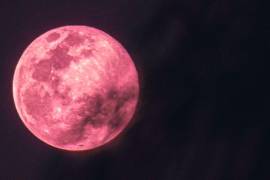 ¿En qué consiste la luna de fresa?