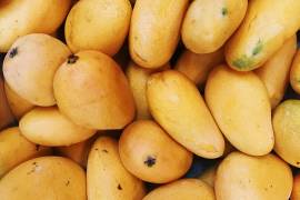 RECETA CASERA DE HELADO DE MANGO