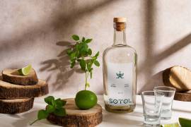 CAMPOBELLO Y EL SOTOL
