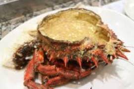 Entre páginas y antojos, la literatura también despierta el apetito.