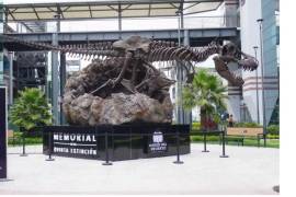Riqueza paleontológica de Coahuila.