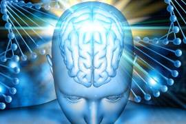 Cuidar la salud cerebral transforma nuestra energía, claridad y bienestar emocional.