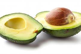 Entre gladiadores dominicales y rituales modernos, el aguacate —fruto sagrado y orgullo mexicano— se convierte en protagonista del juego más visto del planeta.