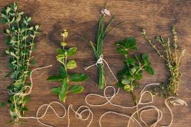 Entre flores y versos, Shakespeare tejió un jardín simbólico: la mandrágora, la cicuta y la rosa no solo adornan sus obras, sino que revelan pasiones, traiciones y destinos.