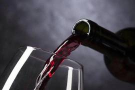Coahuila, tierra donde nació la historia del vino en México y donde hoy se brinda con orgullo por cada cosecha que conquista paladares en todo el mundo.